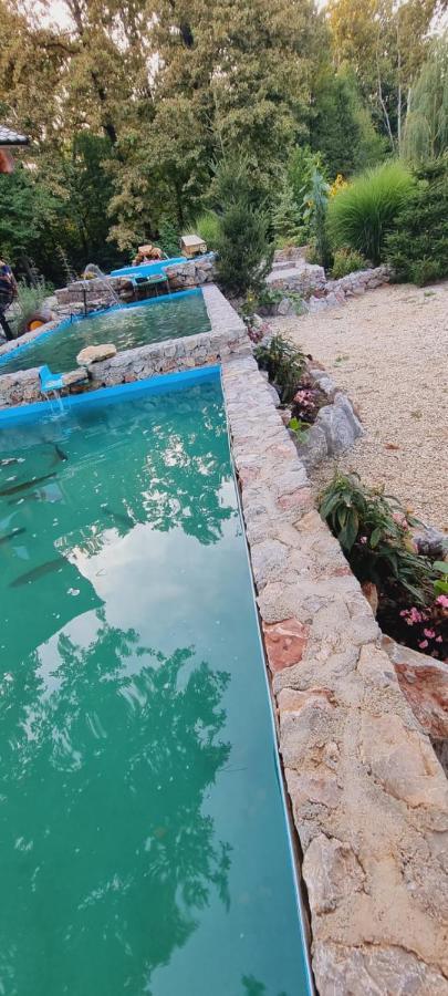 Guest House Mala Prica Zivinice Екстериор снимка